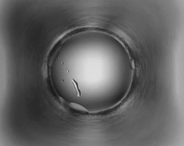 X0000092221069200709141040