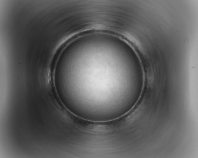 X0000092221070200709141040
