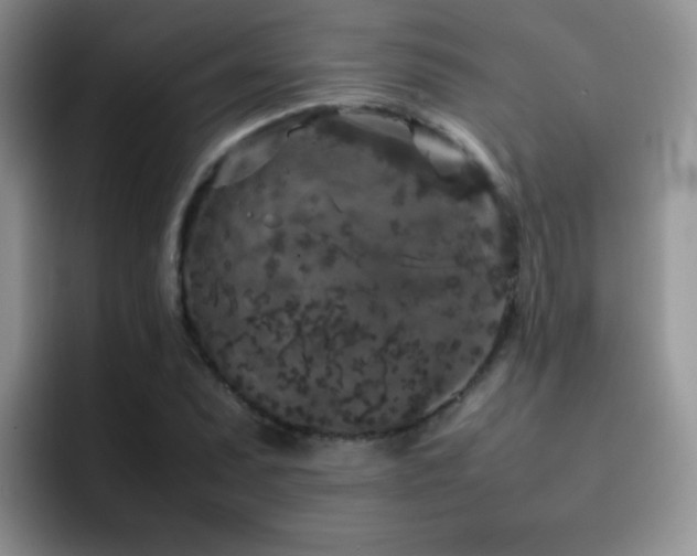 X0000092221071200709141040