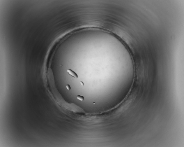 X0000092221072200709141040