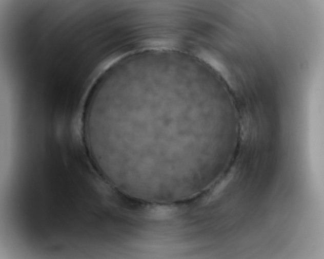X0000092221074200709141040