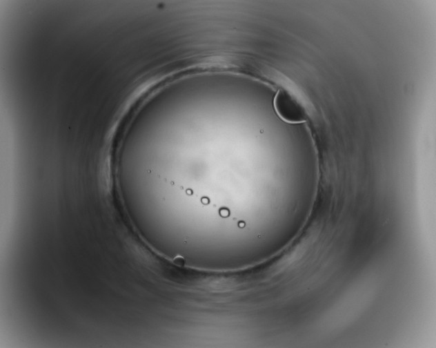 X0000092221075200709141040