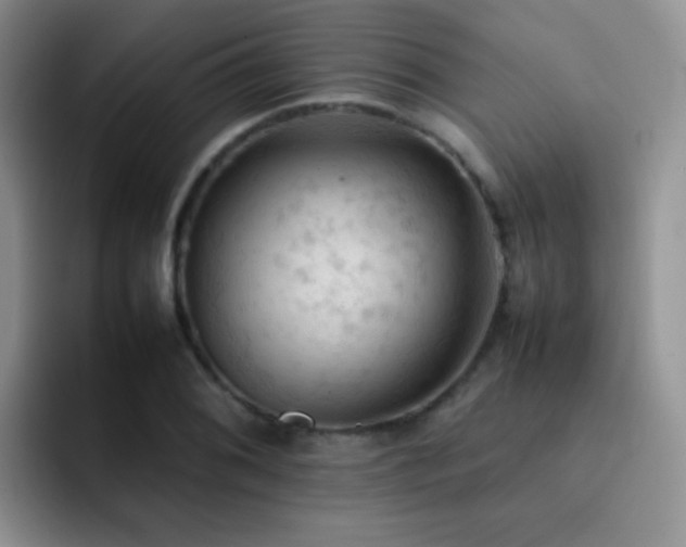 X0000092221076200709141040