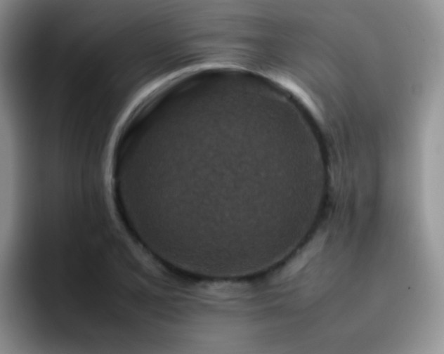 X0000092221077200709141040