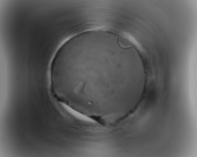 X0000092221079200709141040