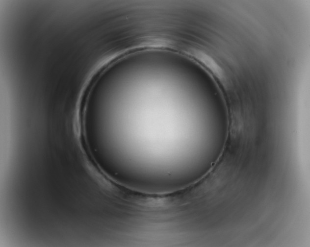X0000092221080200709141040