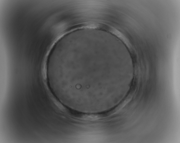 X0000092221083200709141040