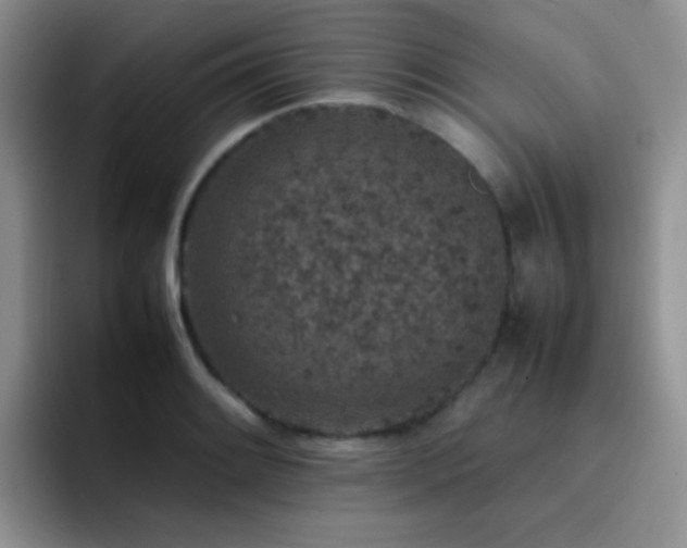 X0000092221084200709141040