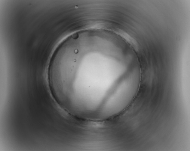X0000092221086200709141040