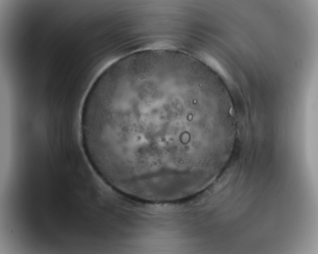 X0000092221087200709141040