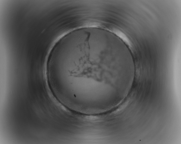 X0000092221088200709141040