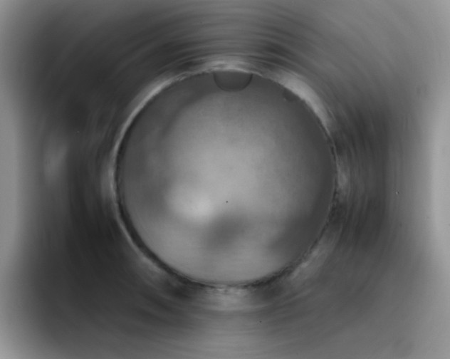 X0000092221090200709141040
