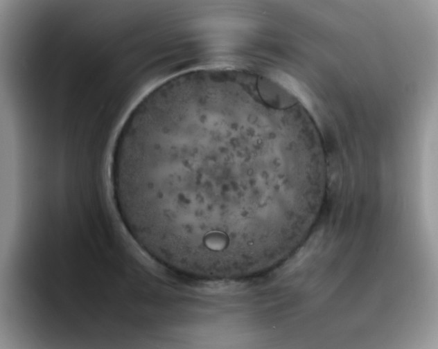 X0000092221091200709141040