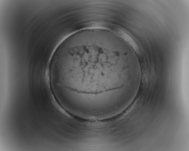 X0000092221092200709141040