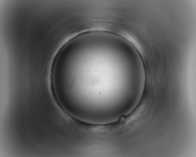 X0000092221093200709141040