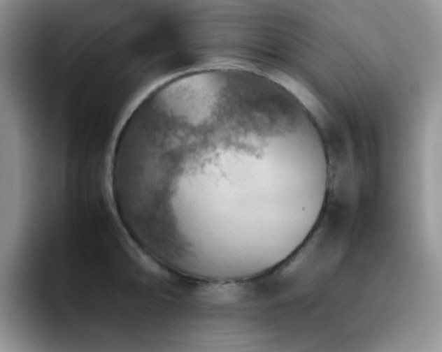 X0000092221094200709141040