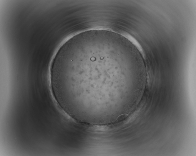 X0000092221096200709141040