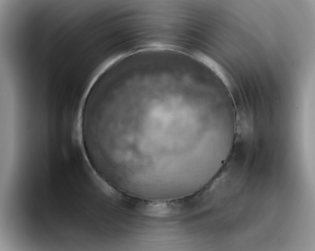 X0000092221098200709141040