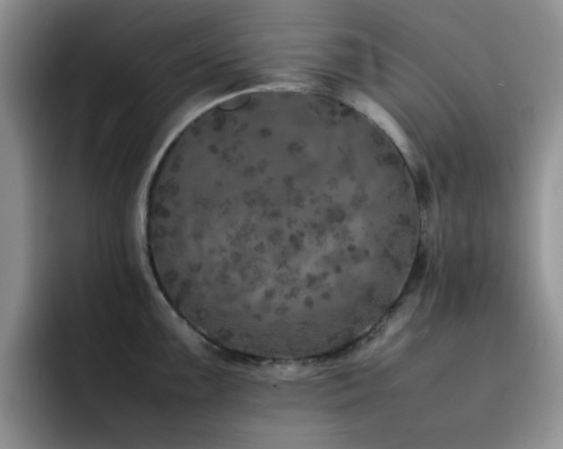 X0000092221099200709141040