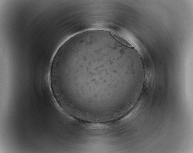 X0000092221100200709141040