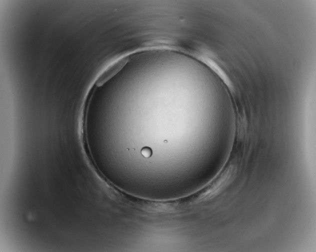 X0000092221101200709141040