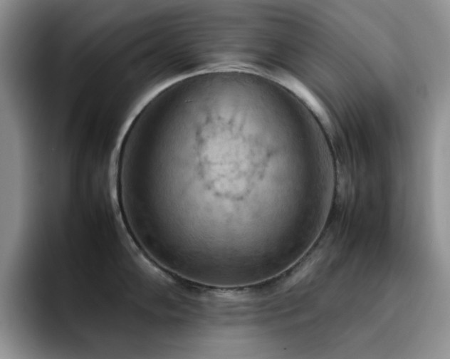 X0000092221102200709141040