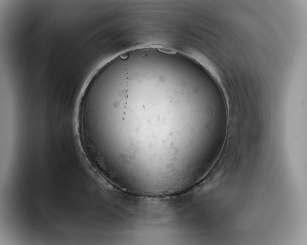 X0000092221104200709141039