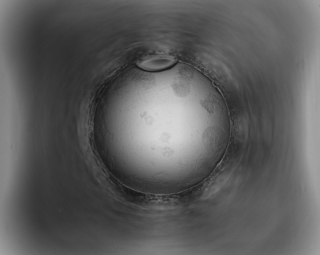 X0000092221105200709141039