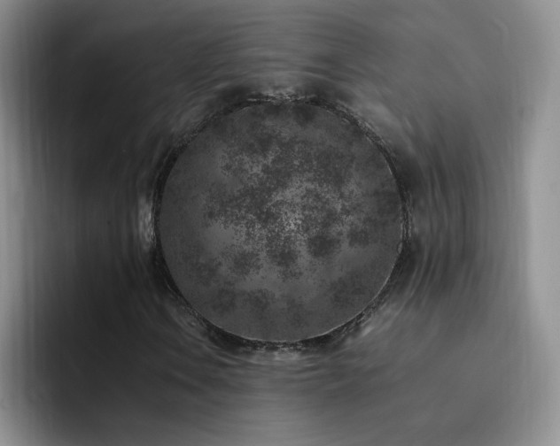 X0000092221106200709141039