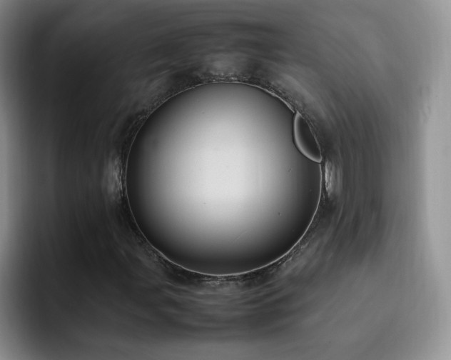 X0000092221107200709141039