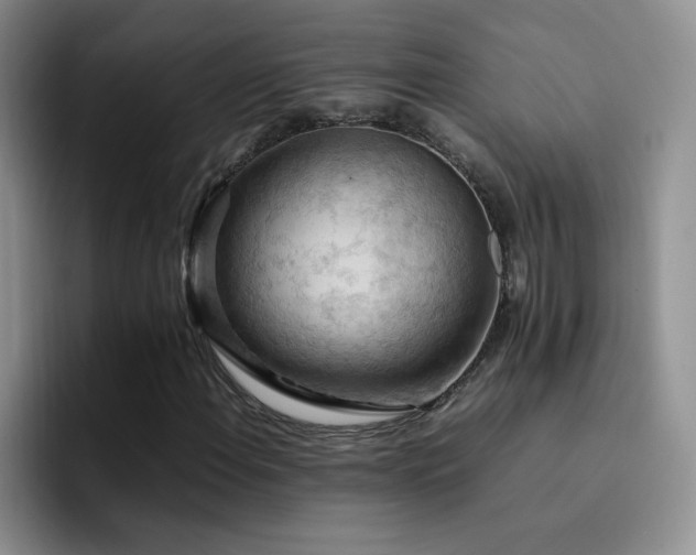 X0000092221108200709141039