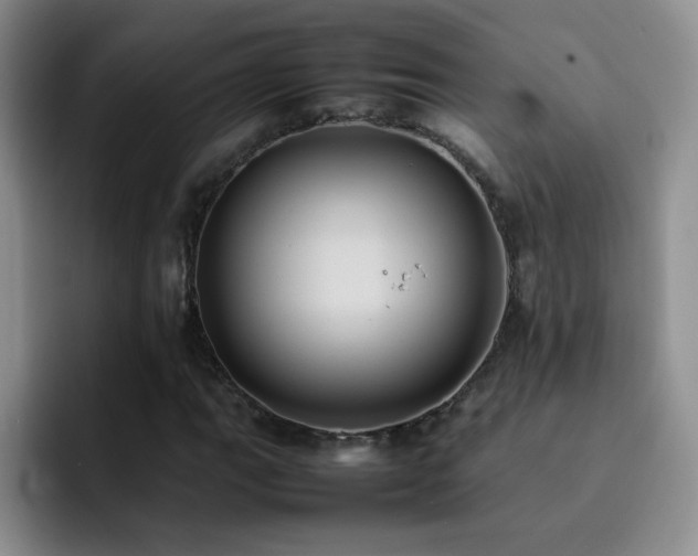 X0000092221111200709141039