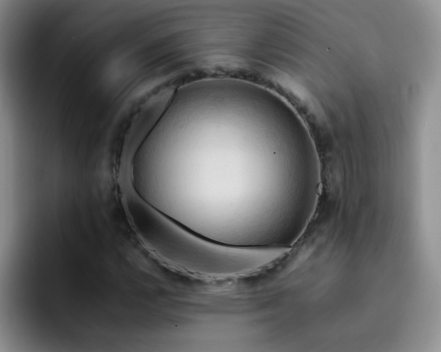 X0000092221112200709141039