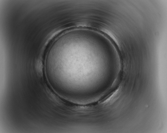 X0000092221115200709141039