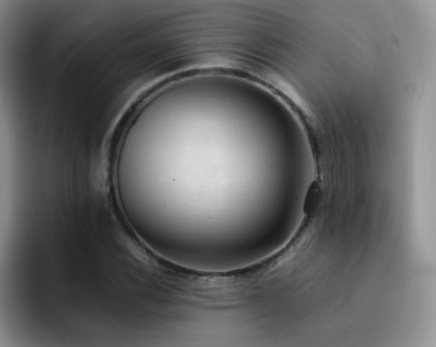 X0000092221116200709141039