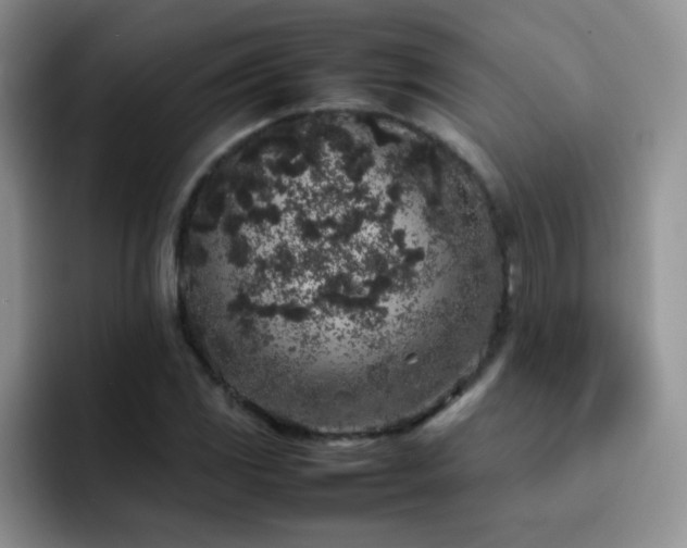 X0000092221117200709141039