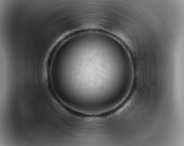 X0000092221118200709141039