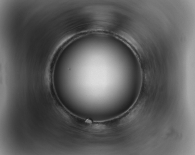 X0000092221119200709141039