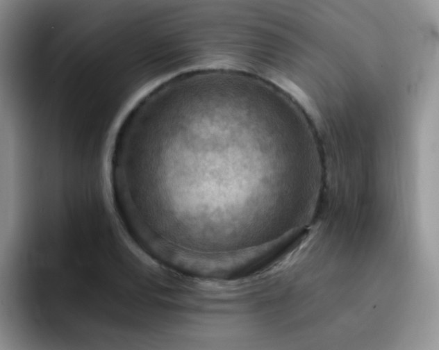 X0000092221120200709141039