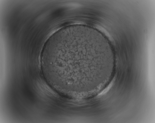 X0000092221121200709141039