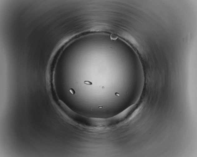 X0000092221122200709141039