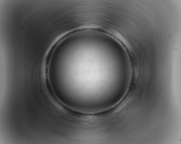 X0000092221124200709141039
