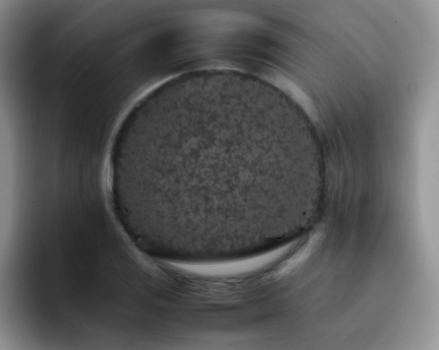 X0000092221125200709141039