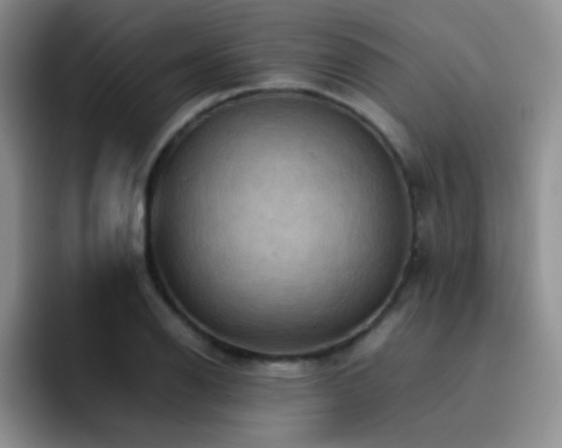 X0000092221126200709141039