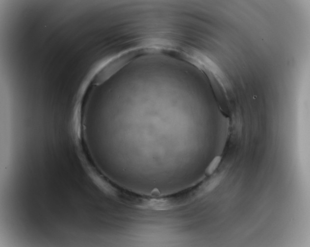 X0000092221128200709141039