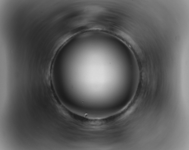 X0000092221129200709141039