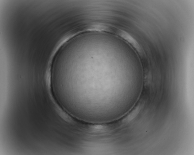 X0000092221130200709141039