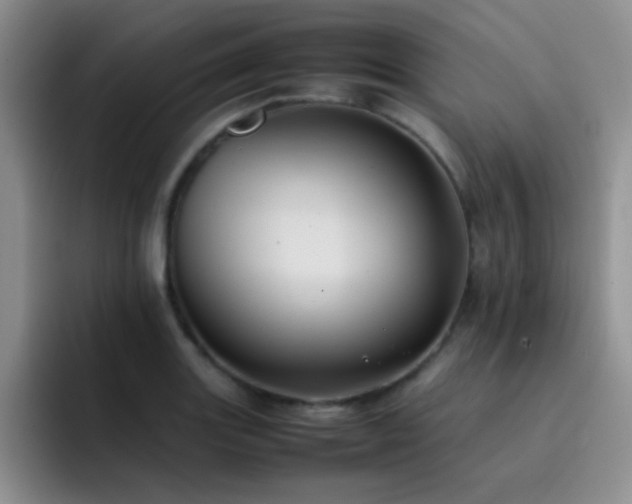 X0000092221131200709141039