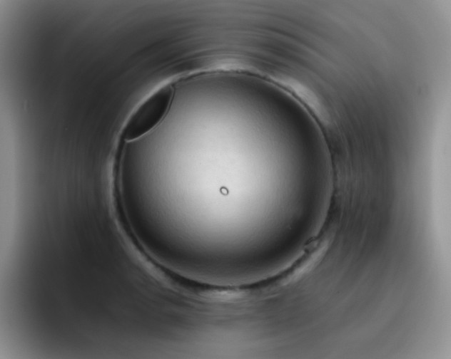 X0000092221134200709141039