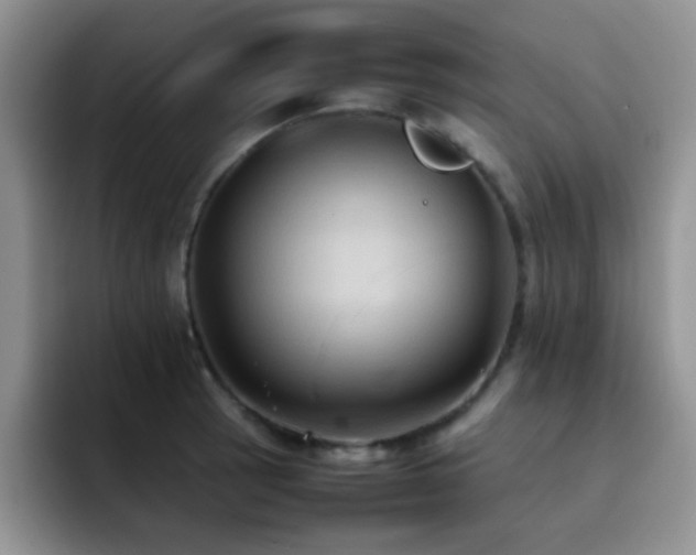 X0000092221137200709141039